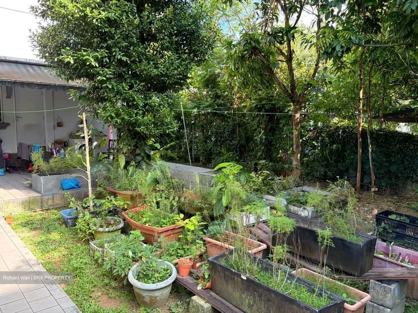 Caldecott Hill Estate (D11), Detached #536064331